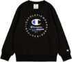 Champion Boy’s Hoodie 7-8 yrs