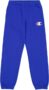 Champion Boy’s joggers 13-14 Years