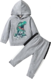 Toddler Boy Dinosaur Hoodie